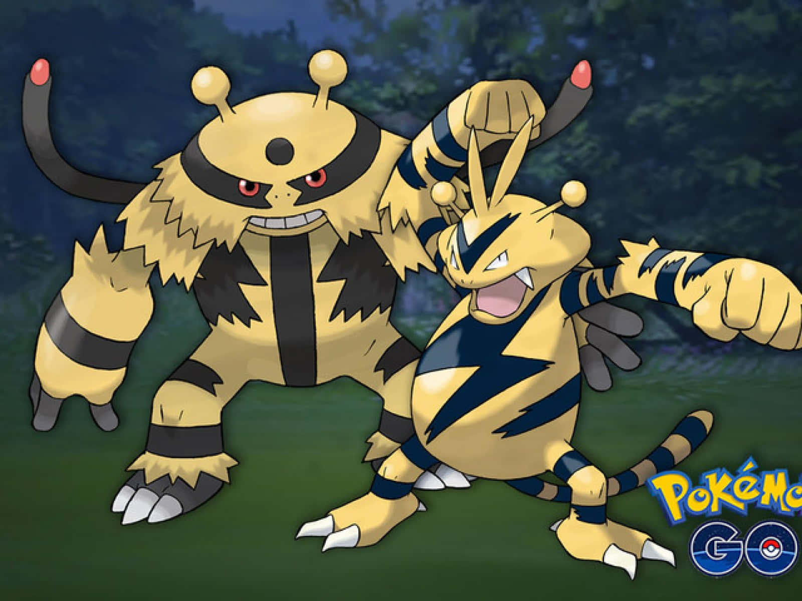 Electivire And Electabuzz In Pokemon Go Wallpaper