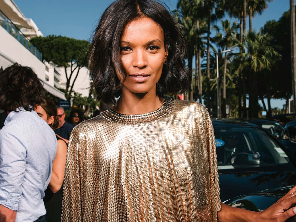 Elegance Personified - Liya Kebede Wallpaper