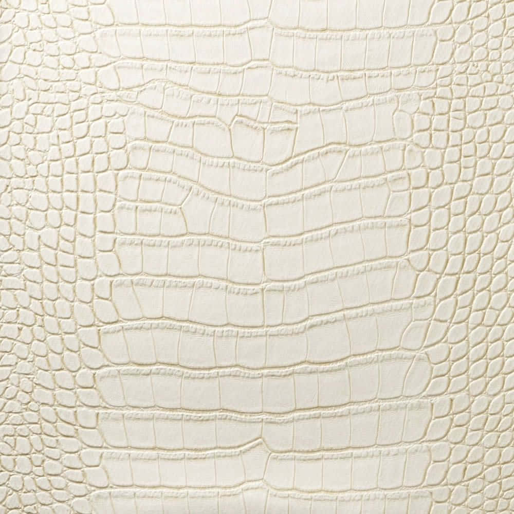 Elegant And Minimalist Cream Colored Texture Wallpaper