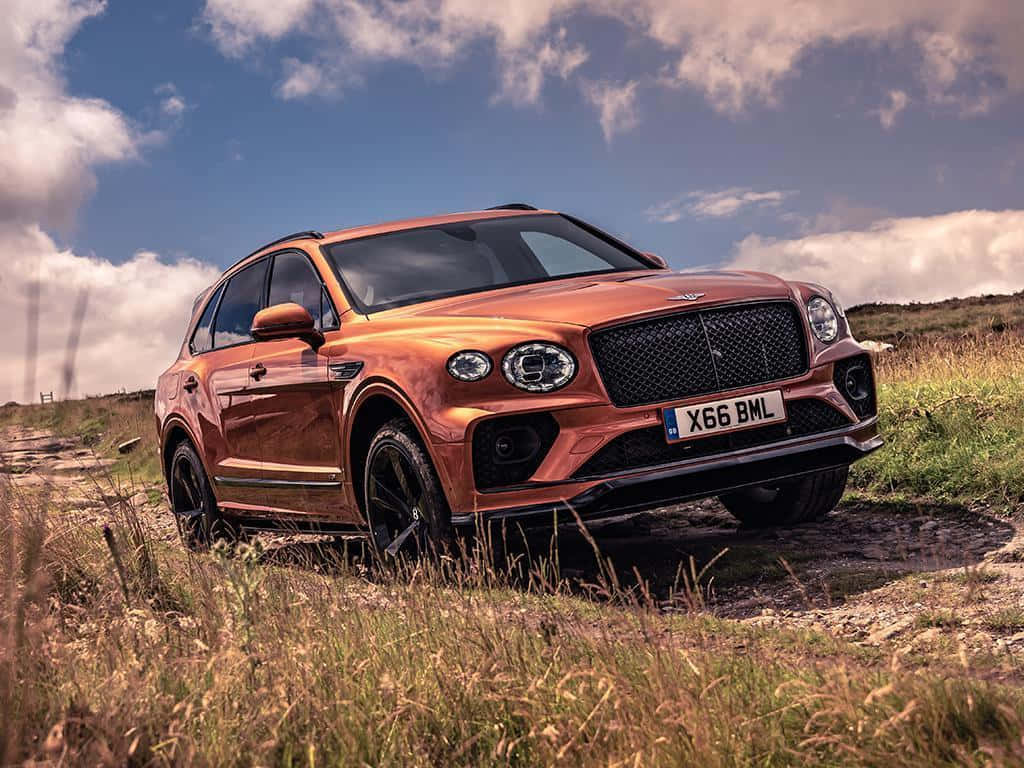 Elegant Bentley Bentayga Dominates The Road Wallpaper