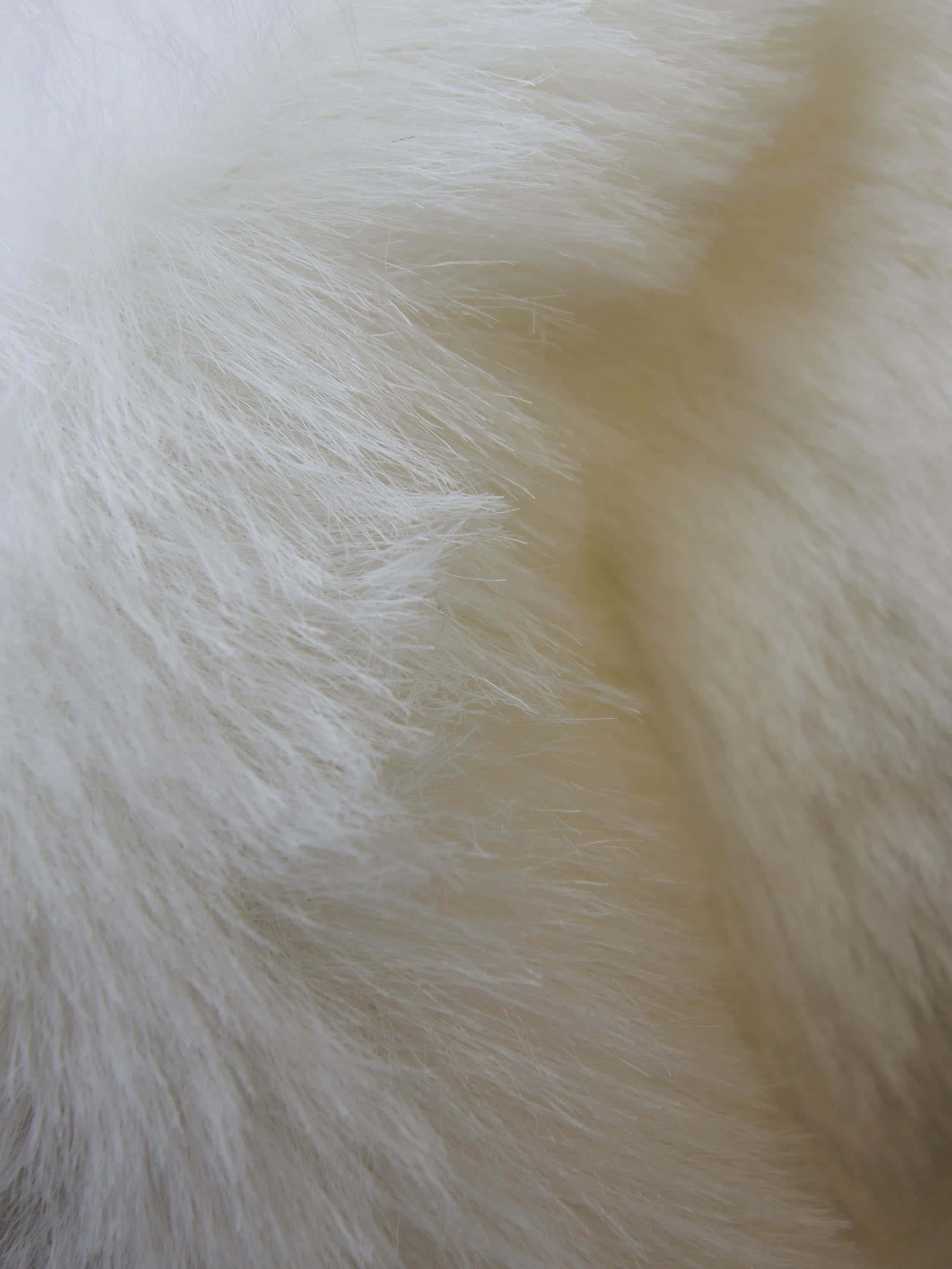 Elegant Faux Fur Texture Wallpaper