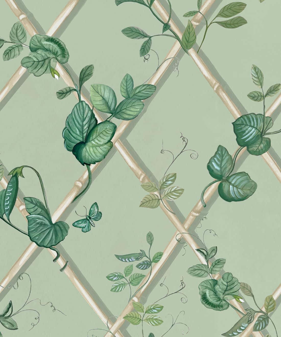 Elegant Ivy Pattern Wallpaper Wallpaper