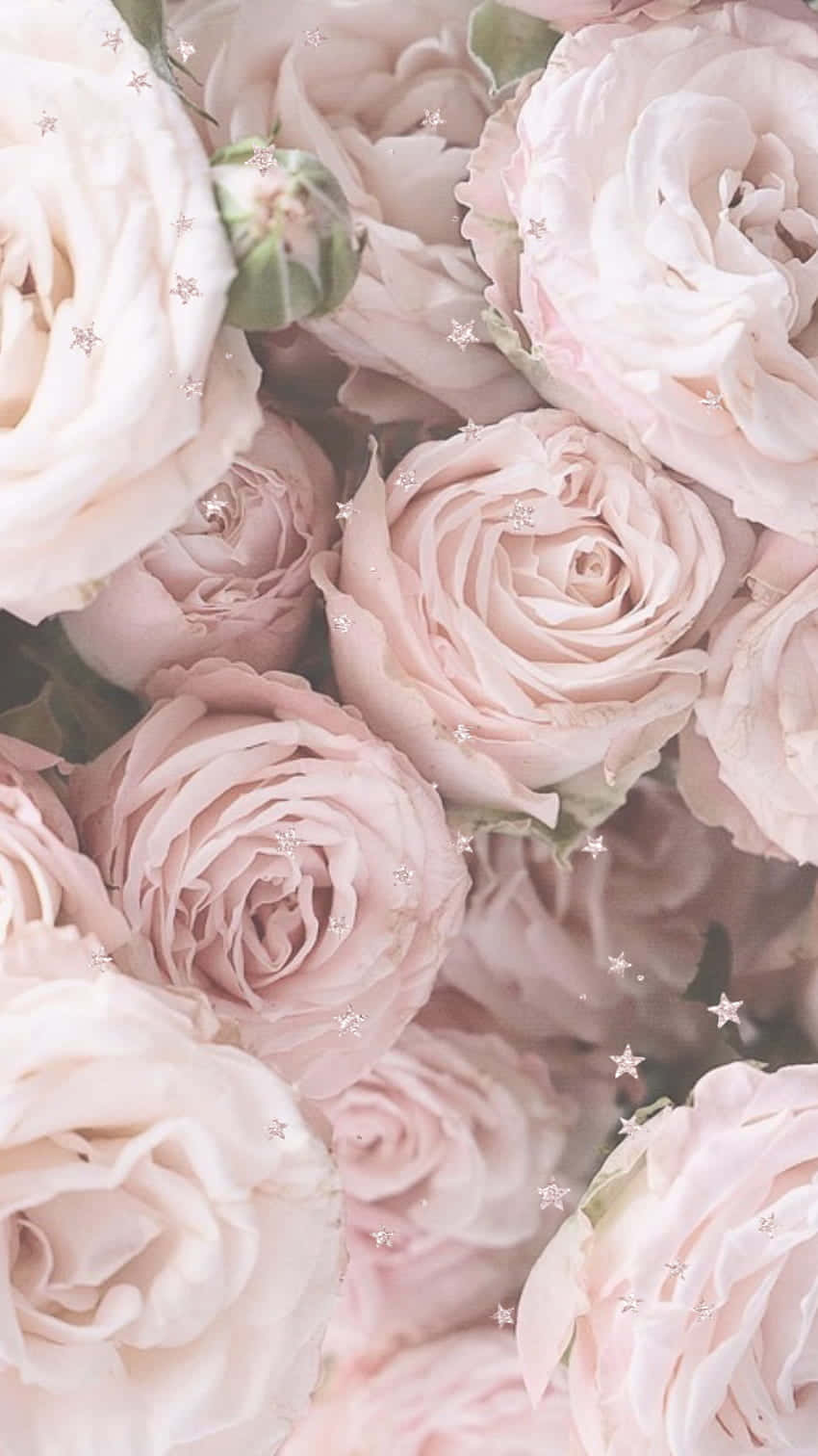 Elegant Light Pink Floral Iphone Wallpaper Wallpaper