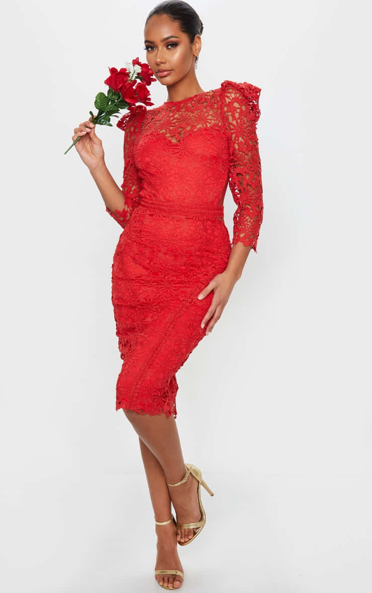 Elegant Red Lace Dress On A Model Wallpaper