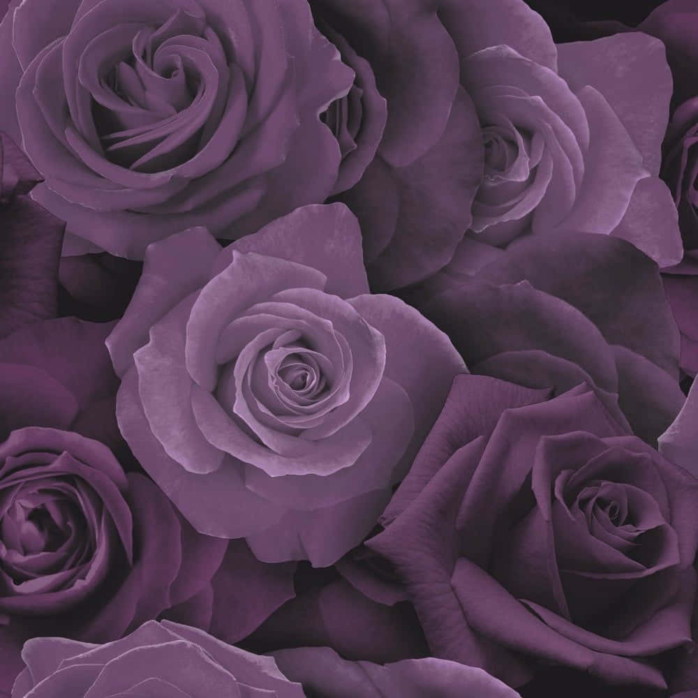 Elegant Rose Pattern Wallpaper Wallpaper