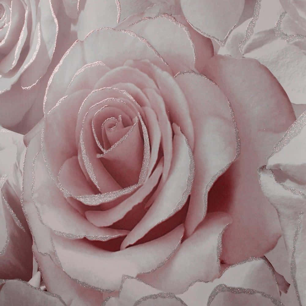 Elegant Rose Pattern Wallpaper Wallpaper