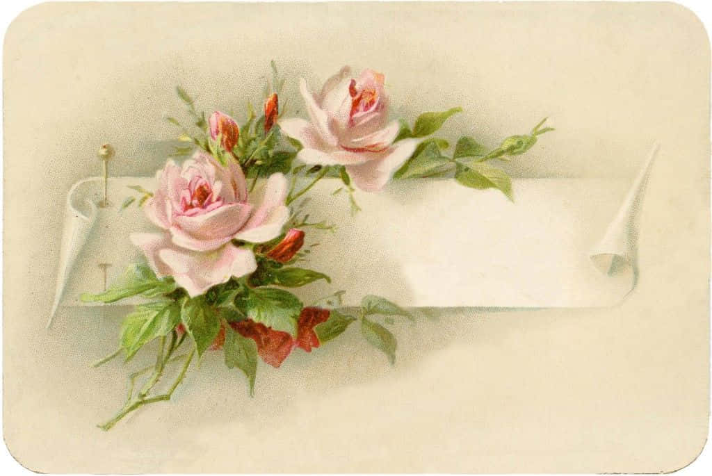 Elegant Vintage Rose Wallpaper Wallpaper