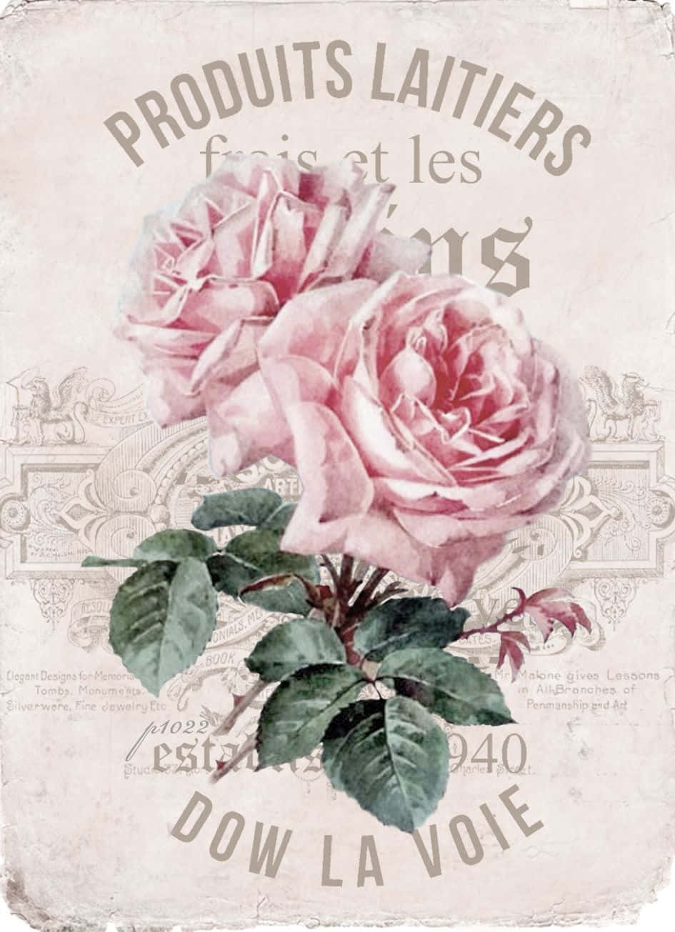 Elegant Vintage Rose Wallpaper Wallpaper