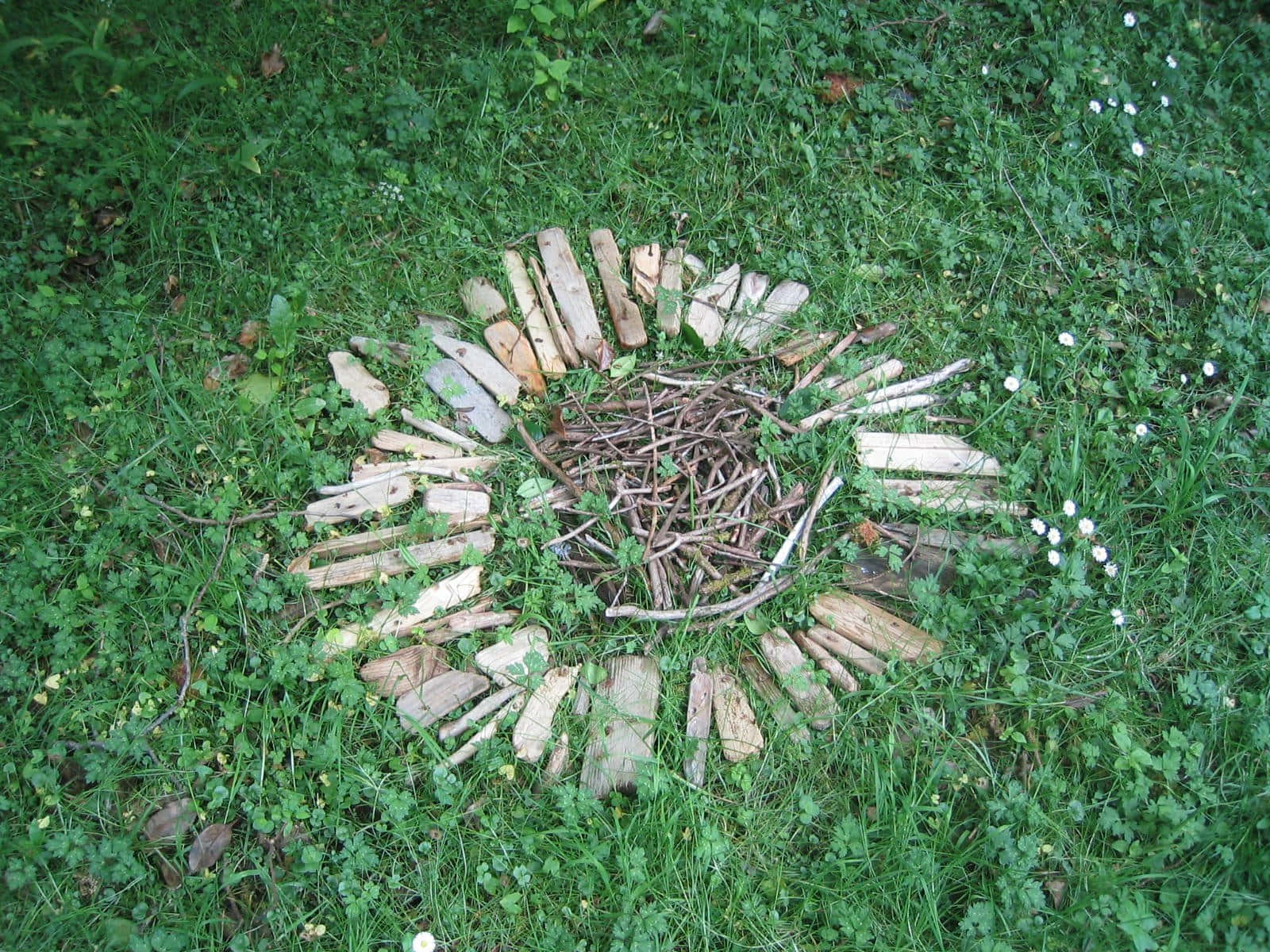 Elevating Earthworks: A Study Of Land Art