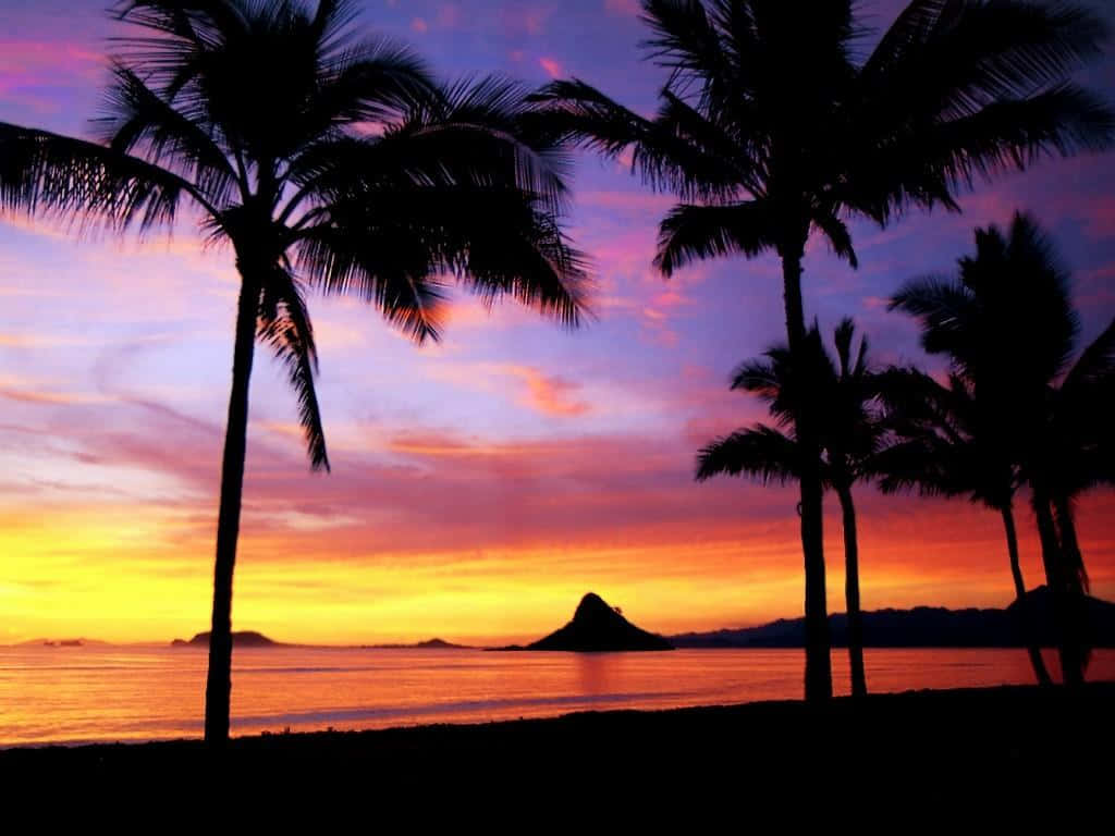 Embrace The Beauty Of A Hawaii Sunset Wallpaper