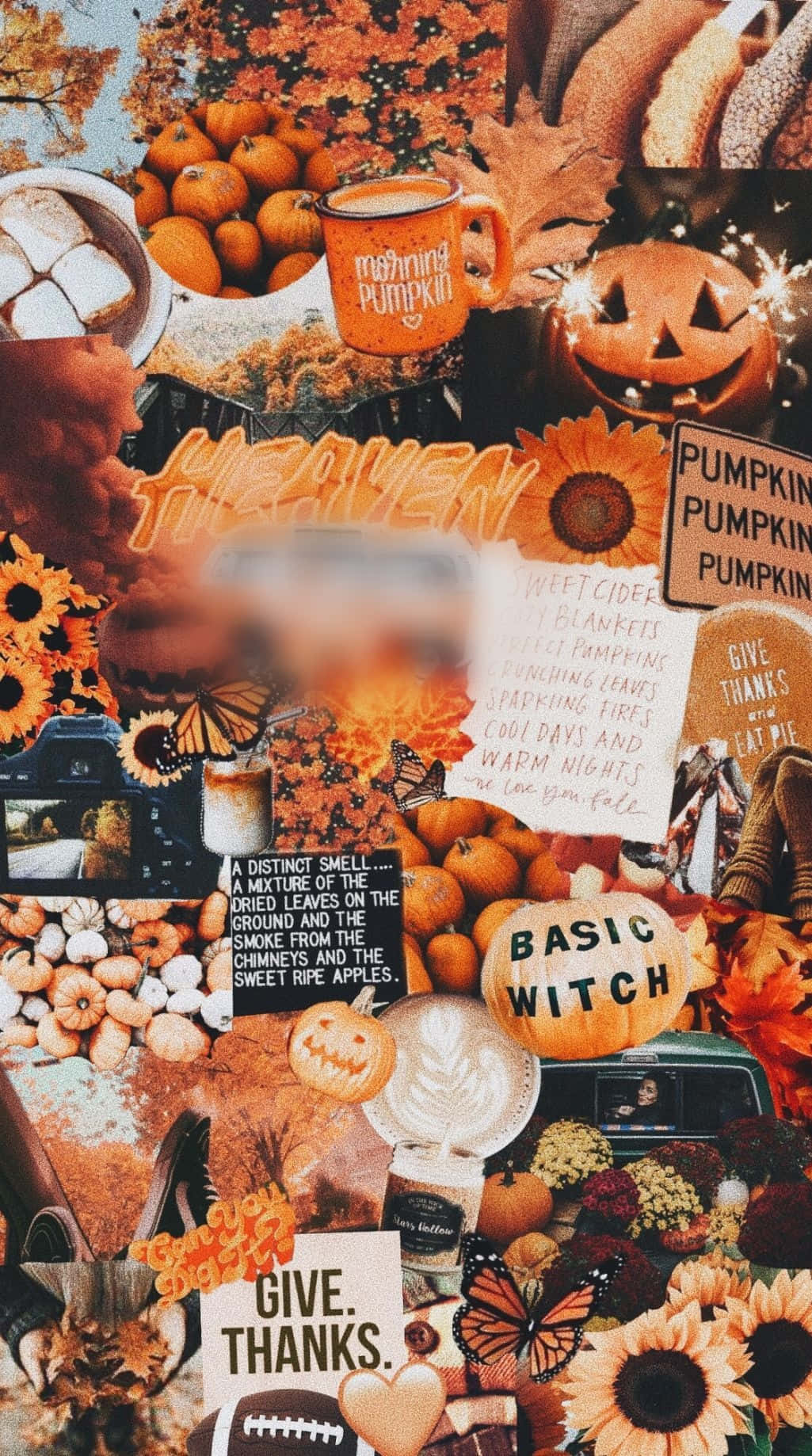 Embrace The Beauty Of Autumn With This October Aesthetic Wallpaper. Wallpaper