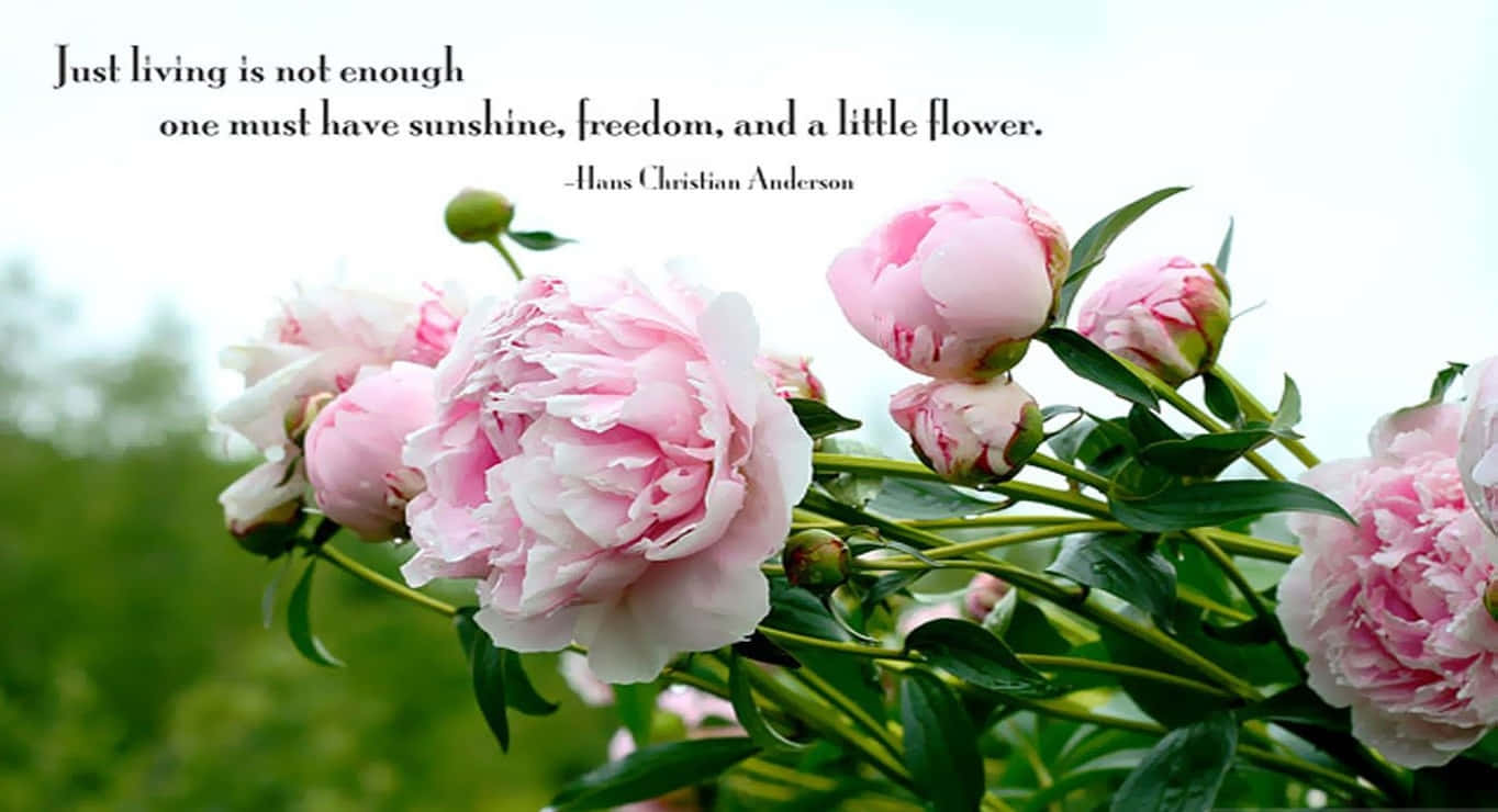 Embrace The Beauty Of Spring With Inspiring Quotes Wallpaper