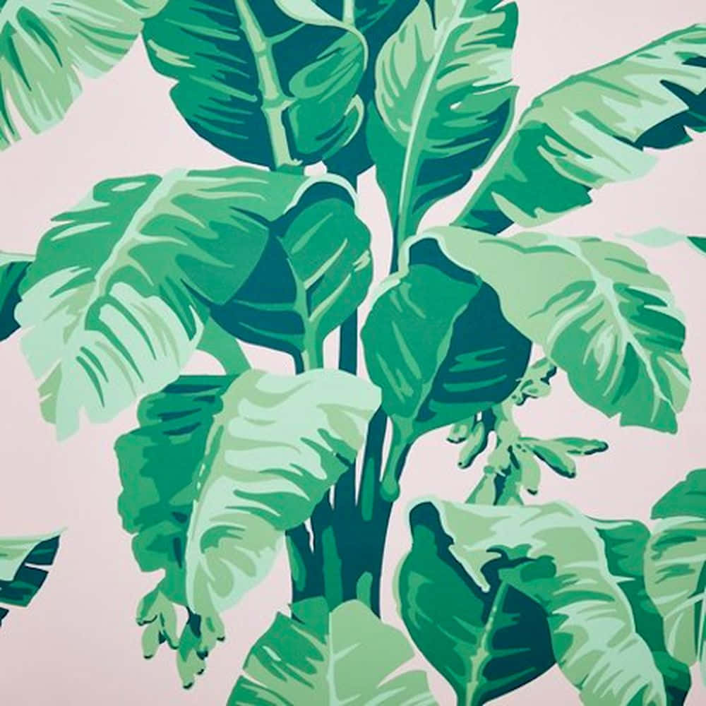 Embrace The Relaxing Vibes Of A Tropical Paradise. Wallpaper