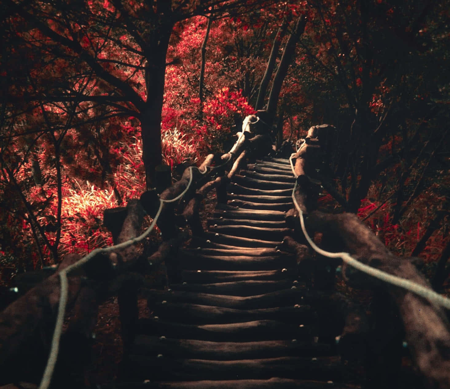 Enchanted Autumn Stairway Wallpaper