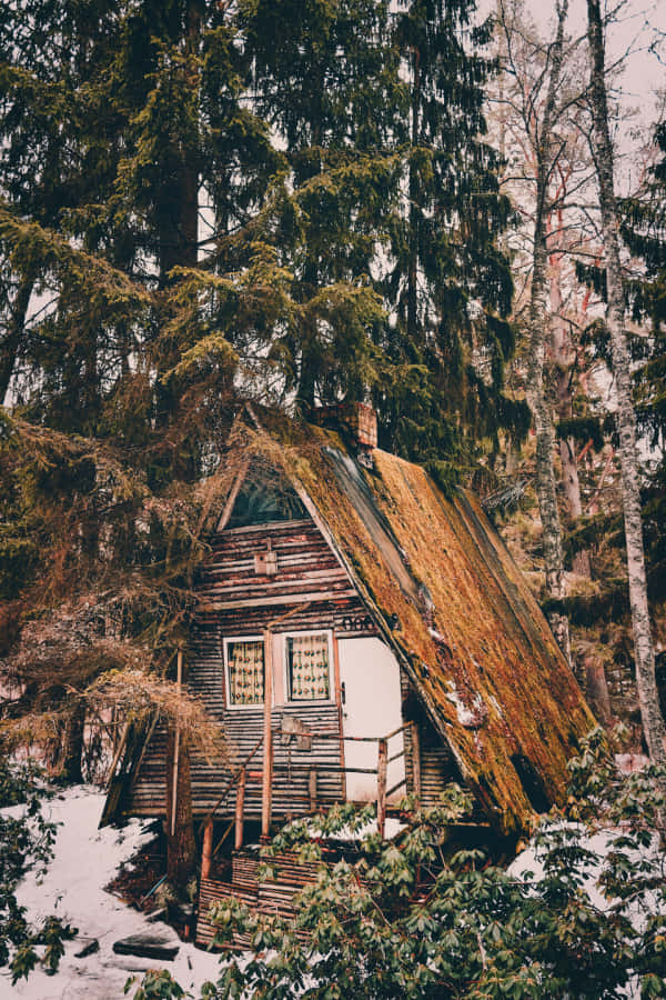 Enchanted_ Forest_ Cabin_ Goblincore.jpg Wallpaper