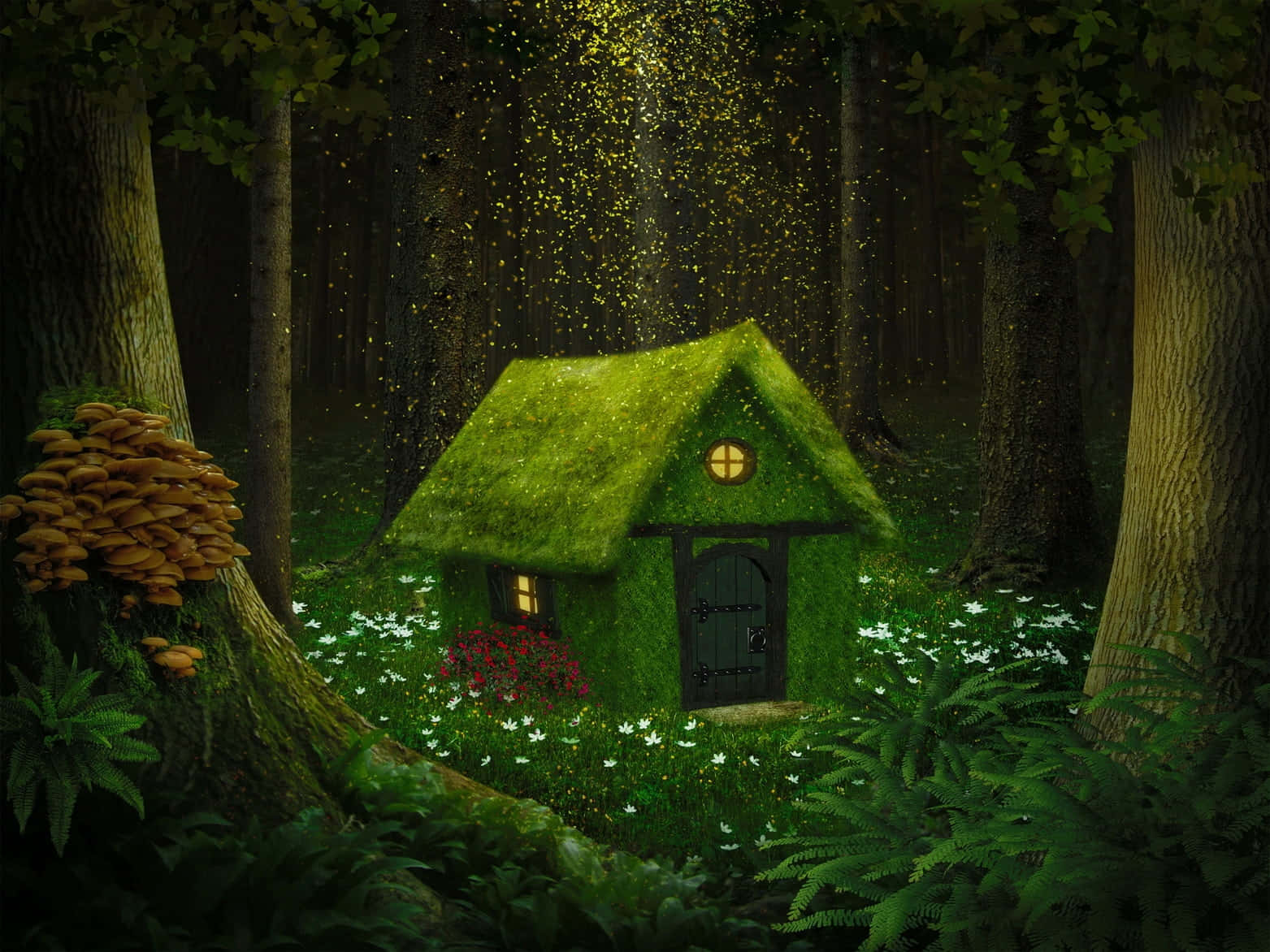 Enchanted Forest Path Wallpaper