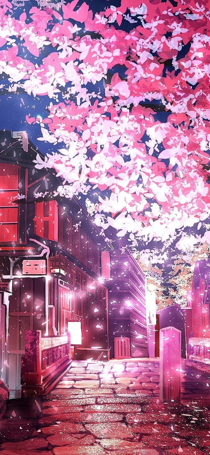 Enchanted_ Nighttime_ Cherry_ Blossoms Wallpaper