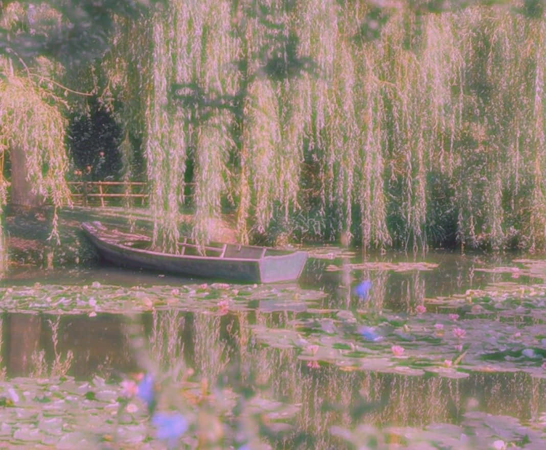 Enchanted_ Willow_ Lake_ Canoe Wallpaper