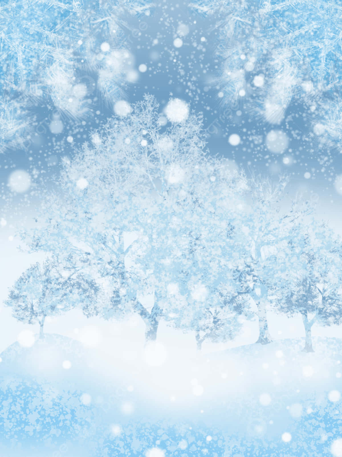 Enchanted_ Winter_ Forest_ Scene Wallpaper