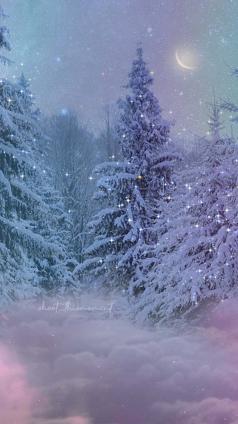 Enchanted_ Winter_ Night_ Scene Wallpaper