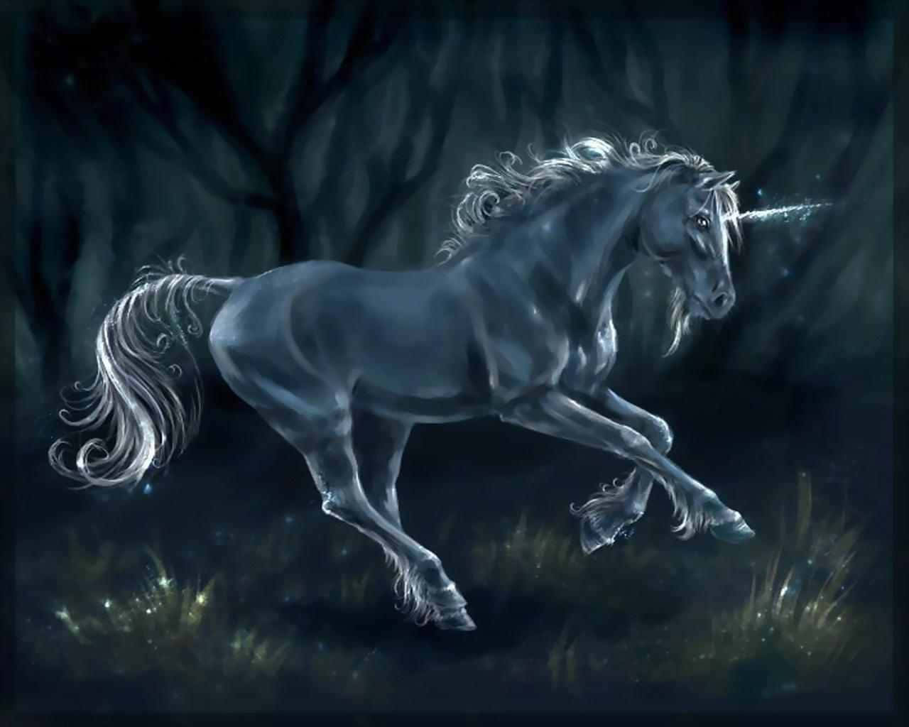 Enchanting 3d Unicorn In A Mystical Forest Wallpaper