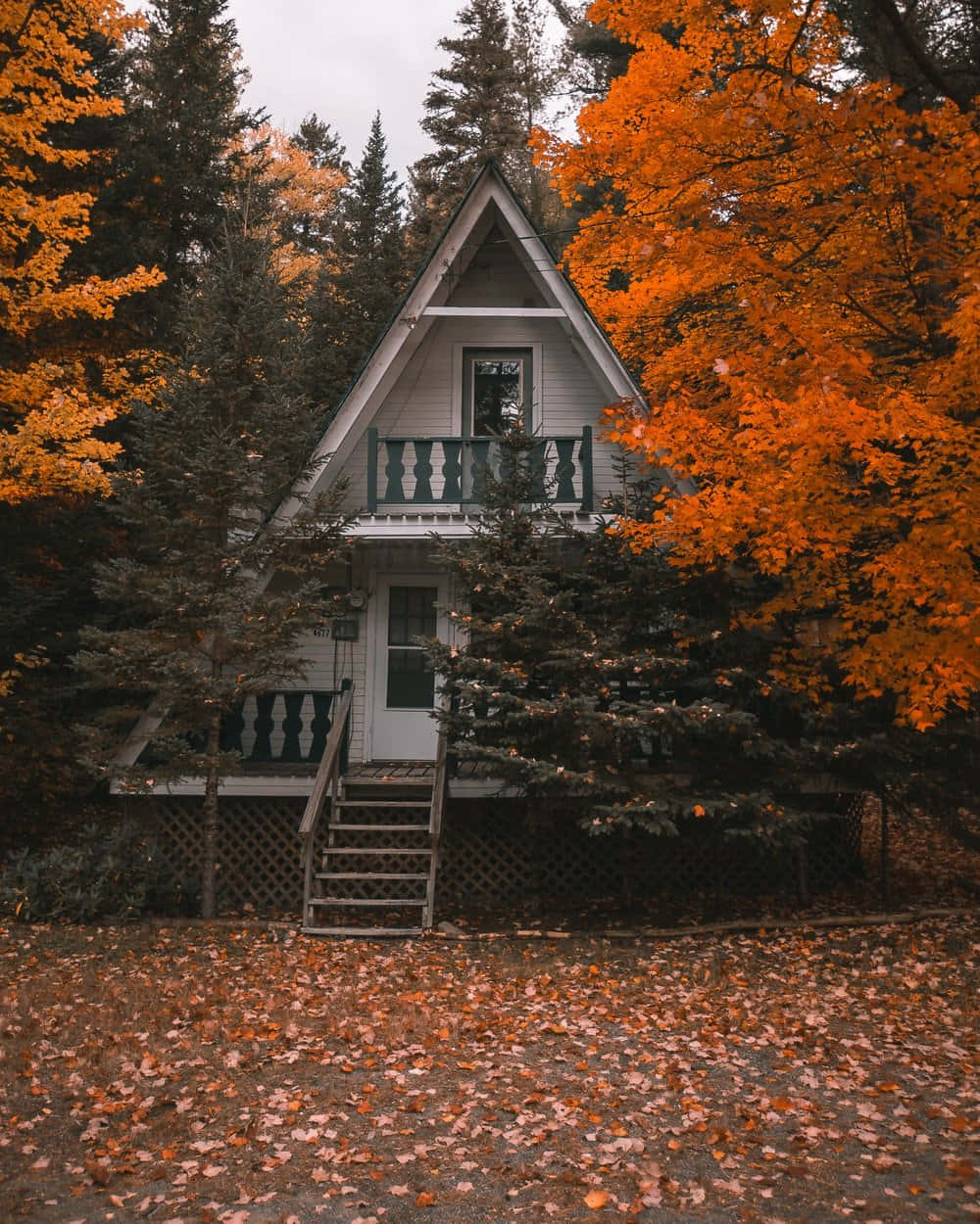 Enchanting Cozy Winter Cabin Nestled Amidst Snowy Forest Wallpaper