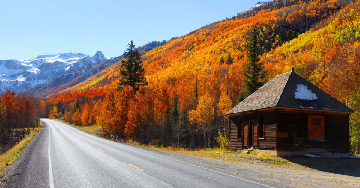 Enchanting Fall Road Wallpaper