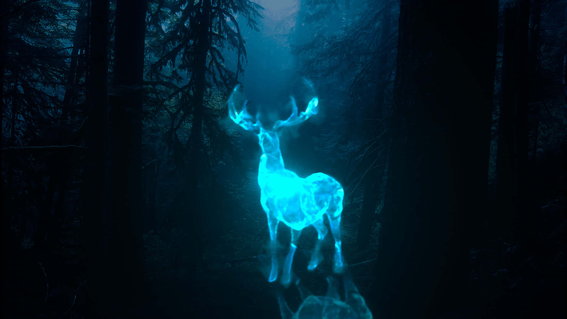 Enchanting Patronus In A Magical Forest Wallpaper