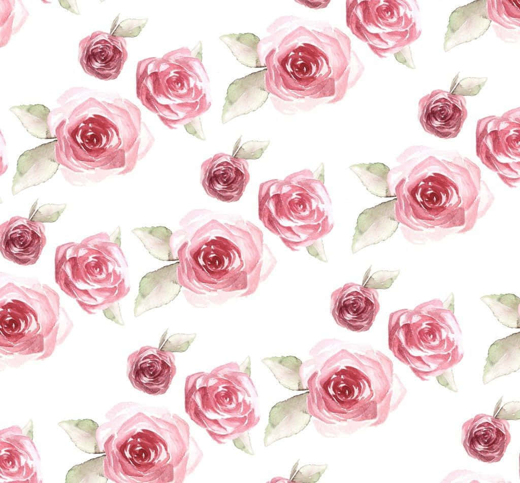 Enchanting Rose Pattern On Wallpaper Wallpaper