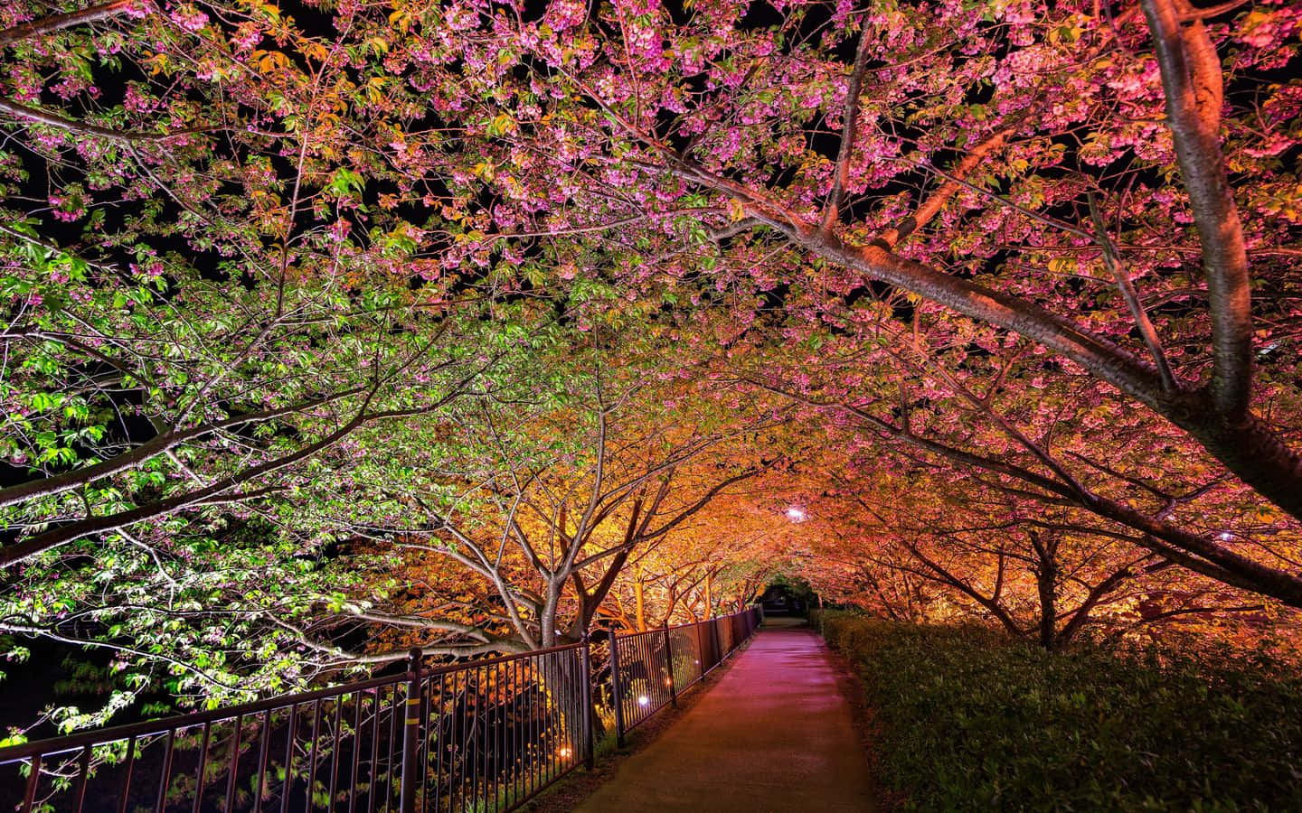 Enchanting Spring Lights At Dusk Wallpaper