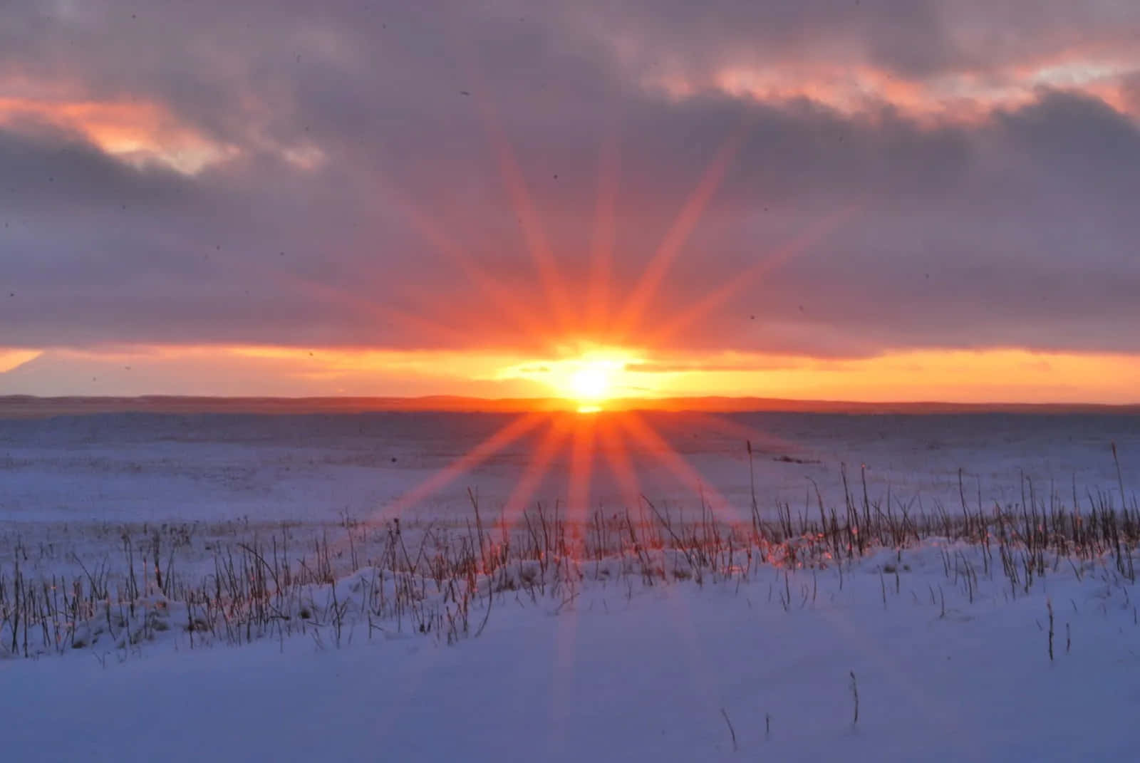 Enchanting Winter Solstice Landscape Wallpaper