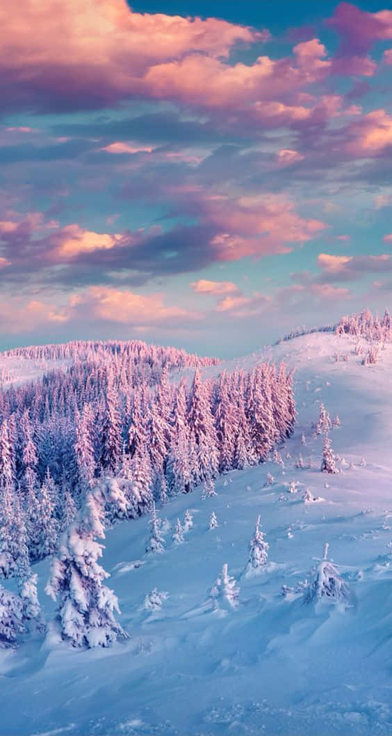 Enchanting Winter Wonderland Scene Wallpaper