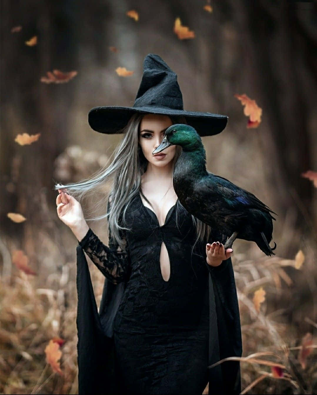 Enchanting Witch Costume Ideas For Halloween Wallpaper