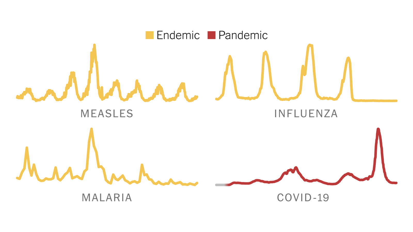 Endemic Line Graphs Wallpaper