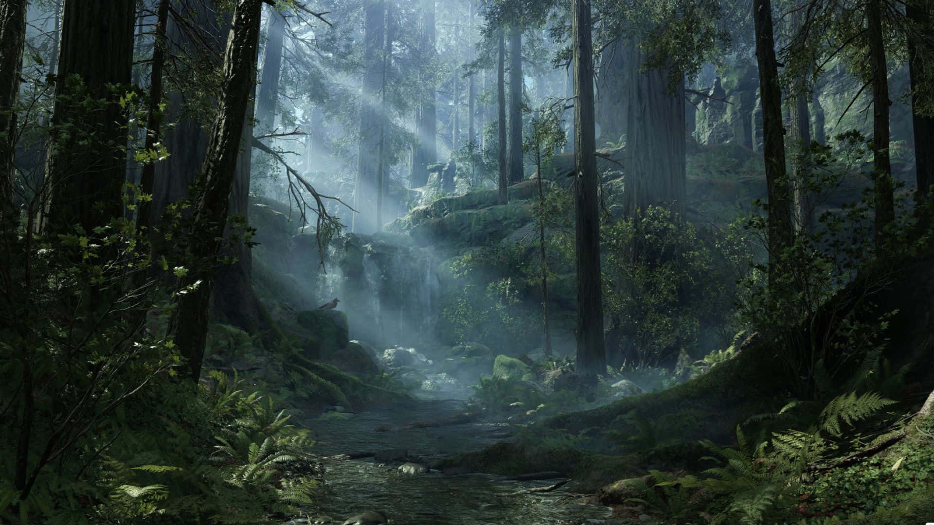 Endor 1920 X 1080 Wallpaper Wallpaper