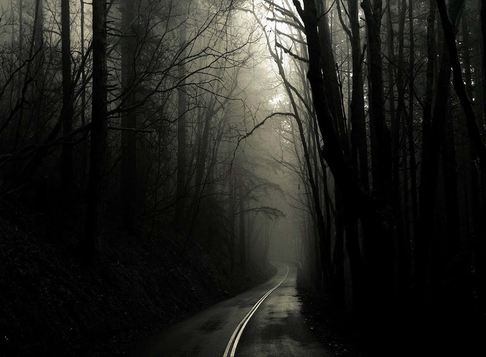 Enigmatic Dark Gothic Forest Path Wallpaper