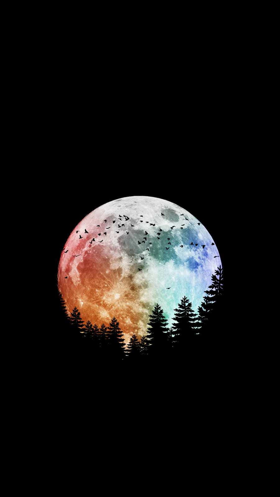 Enjoy A Moonlit Evening With Your Iphone Wallpaper