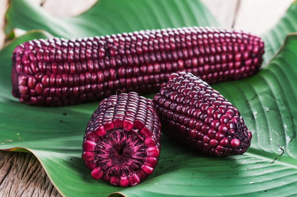 Enjoy A Scoop Of Fresh Purple Corn Wallpaper