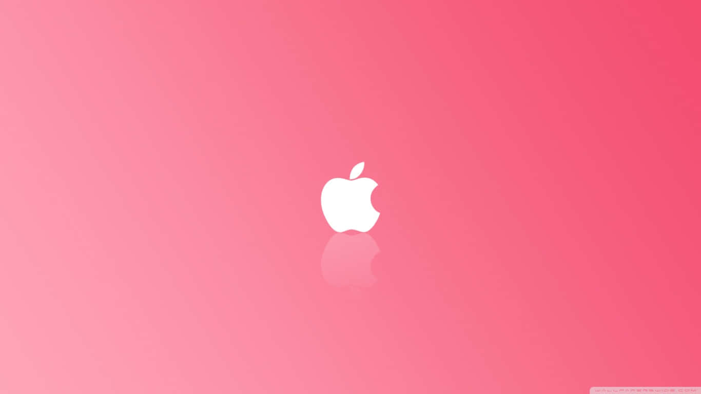 Enjoy A Simple Pink Wallpaper Wallpaper