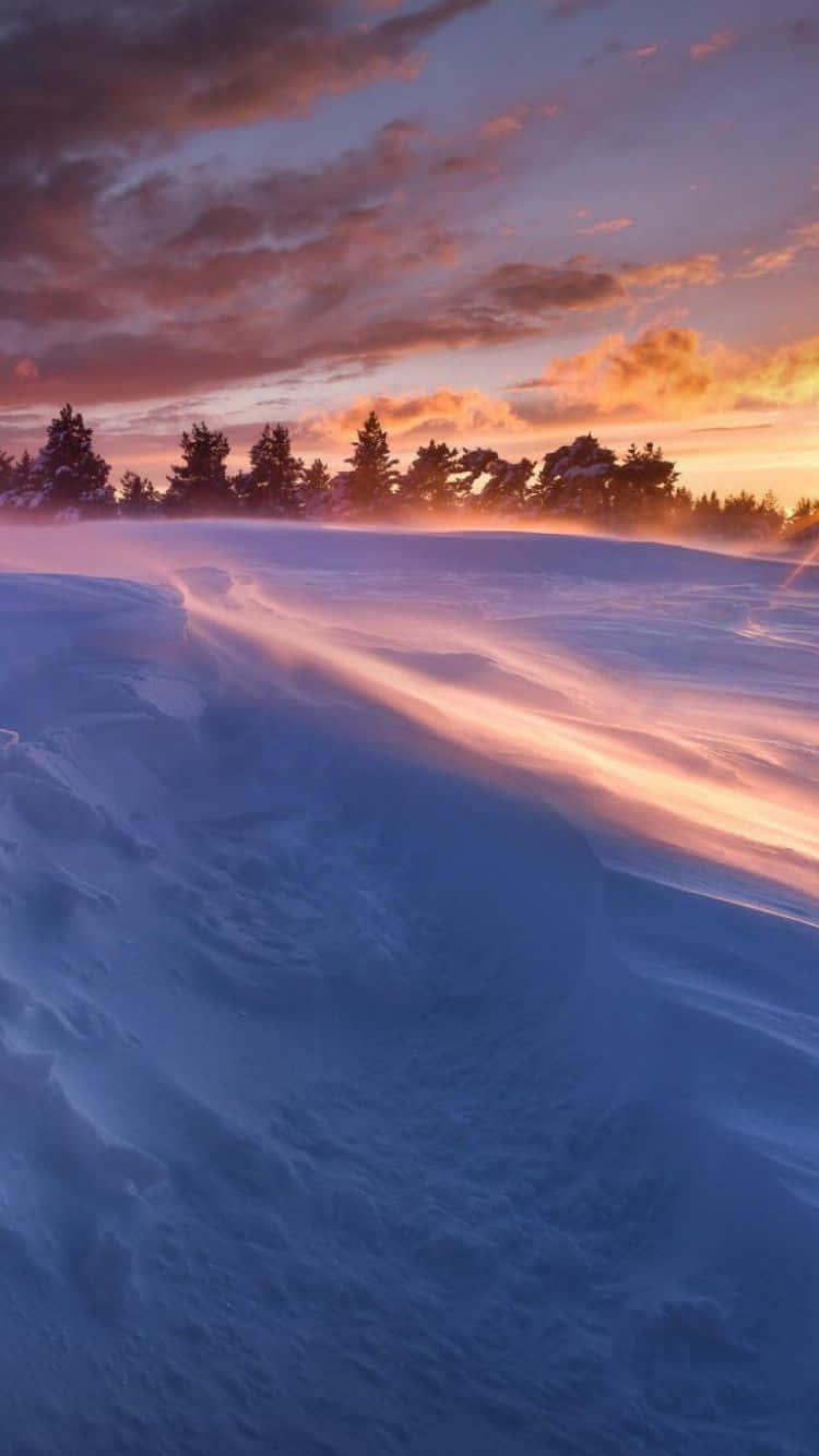 Enjoy A Snowy Winter Through Your Iphone 6 Plus Wallpaper