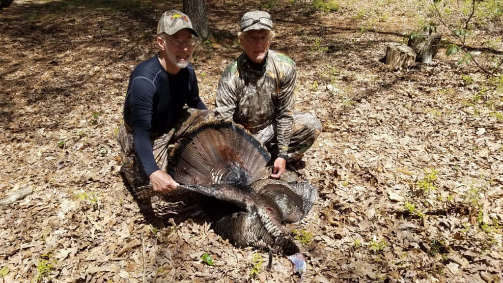 Enjoy A Thrilling Day Of Turkey Hunting Wallpaper