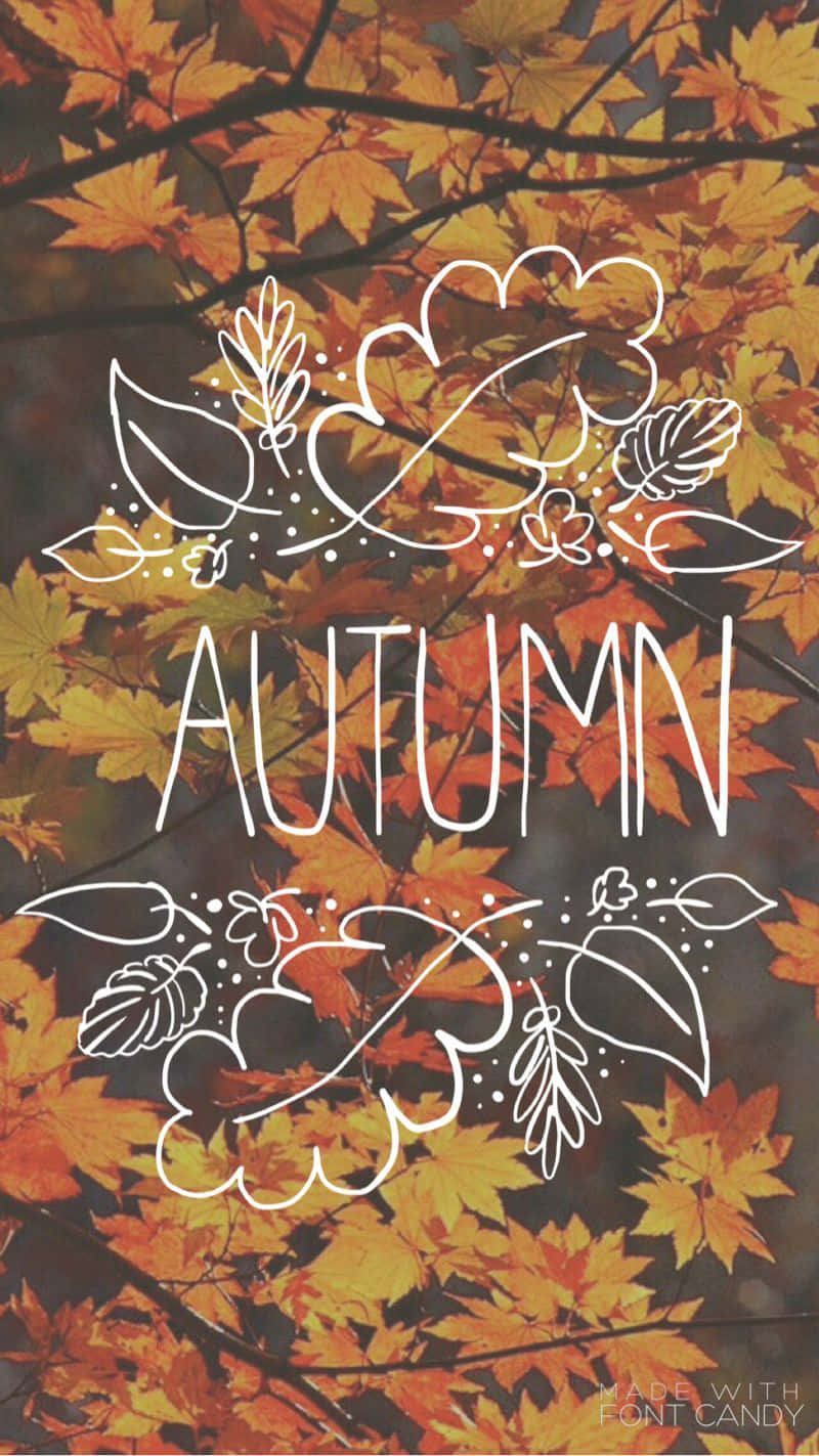 Enjoy Autumn In Style With The The Cutest Iphone! Wallpaper