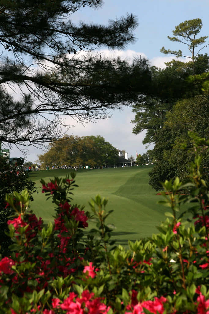 Enjoy Nature's Bounty At Augusta National Wallpaper