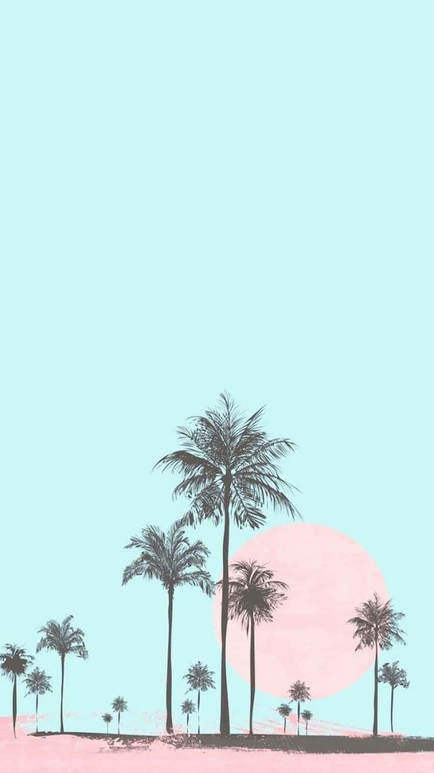 Enjoy The Beauty Of A Cute Palm Tree! Wallpaper