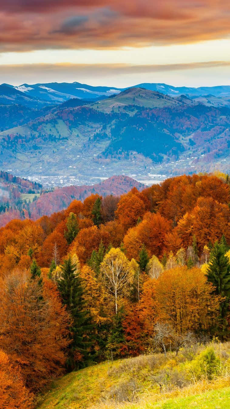 Enjoy The Beauty Of Autumn With The Iphone 6 Plus Wallpaper