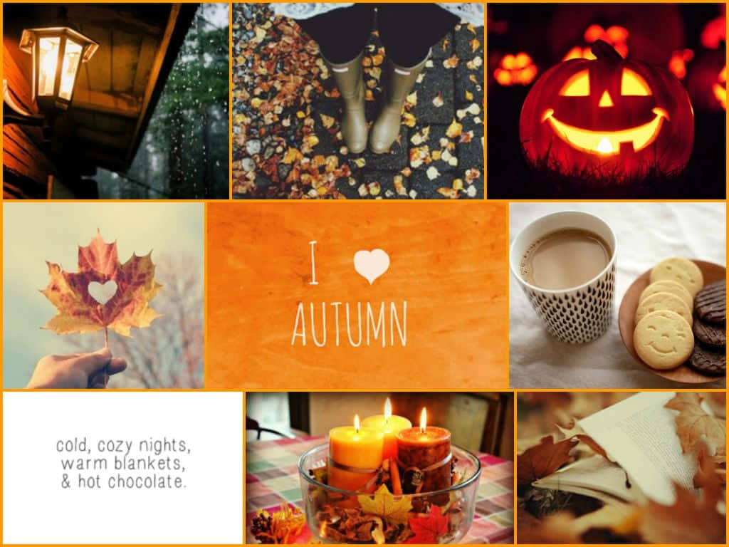 Enjoy The Beauty Of Autumn With This Gorgeous Fall Collage Desktop Wallpaper. Wallpaper