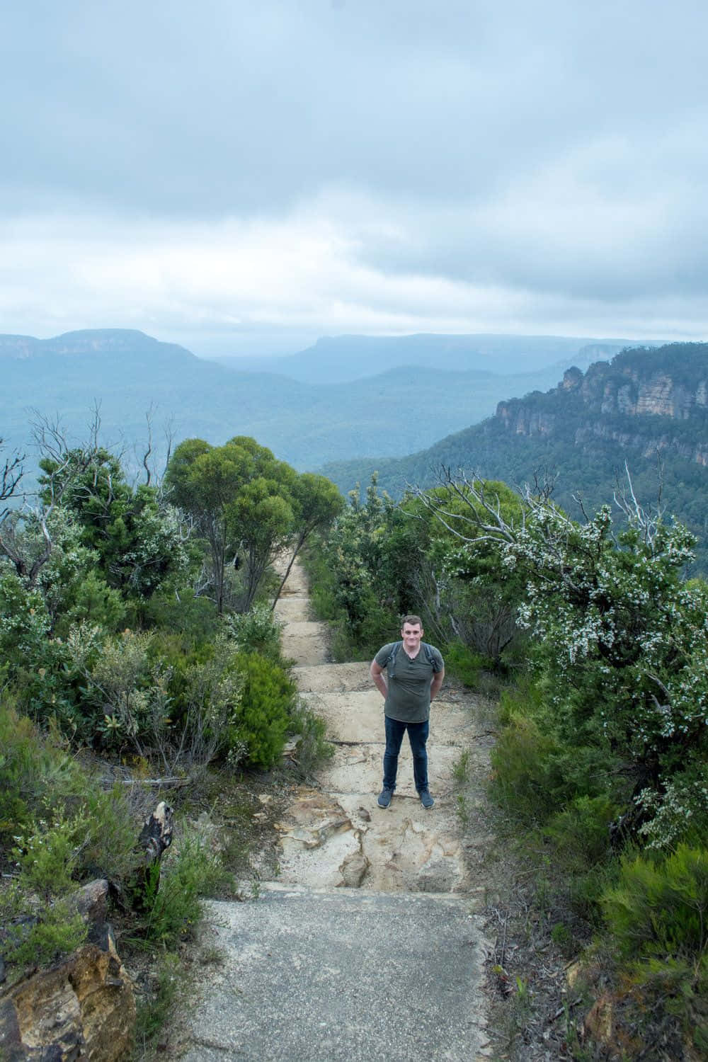 Enjoy The Beauty Of Blue Mountains National Park Wallpaper