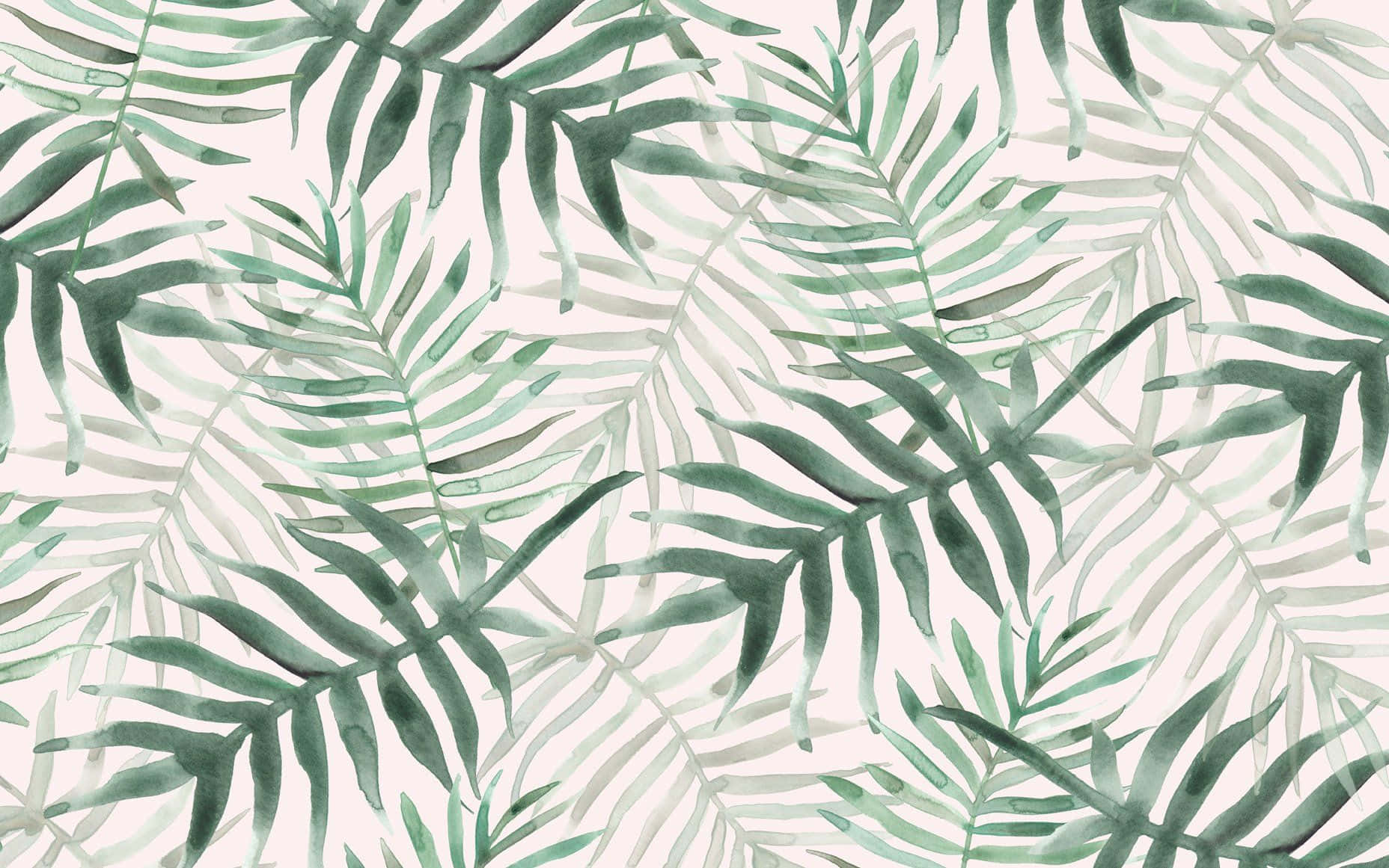 Enjoy The Beauty Of Exotic Tropical Leaves From Your Own Desktop. Wallpaper