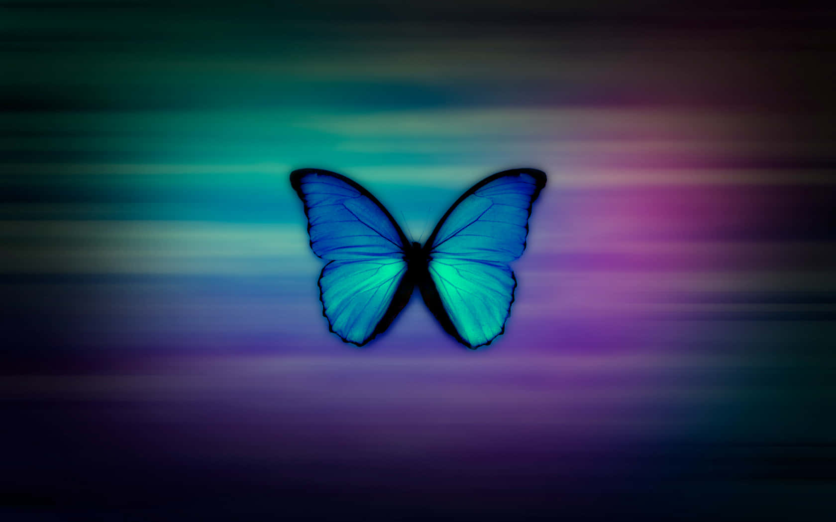 Enjoy The Beauty Of Life With A Butterflies Laptop Wallpaper