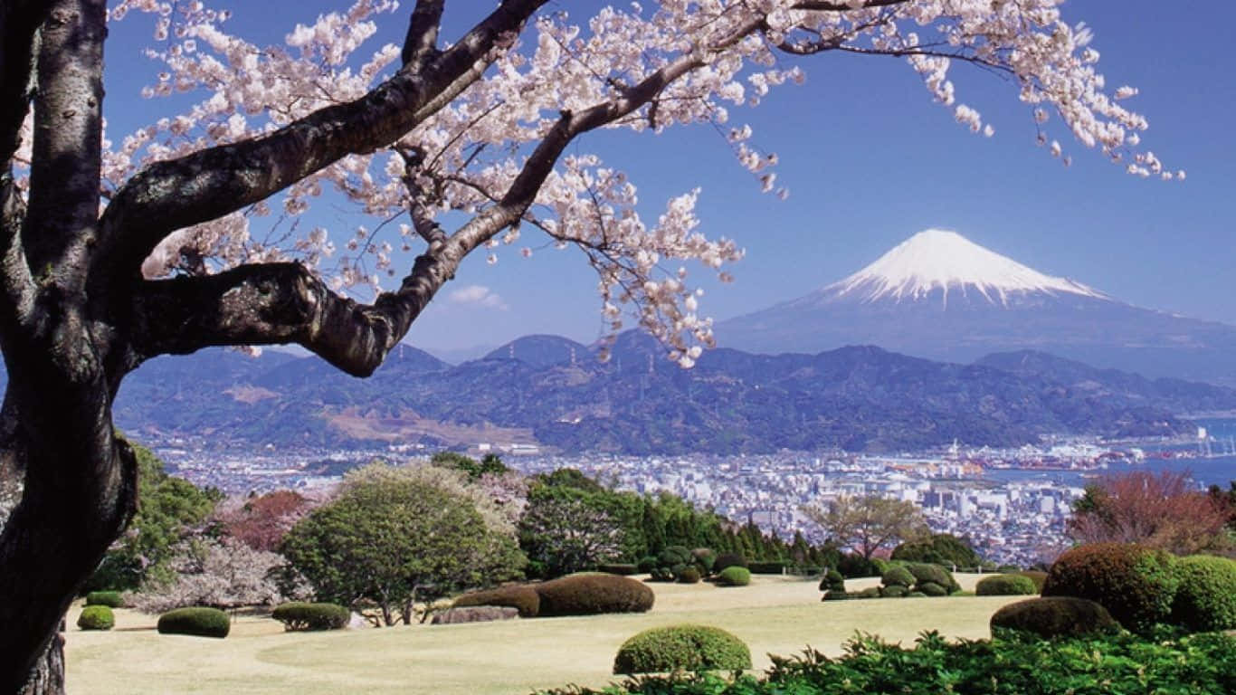 Enjoy The Beauty Of Nature This Spring With A Stunning Dual-screen Laptop Wallpaper